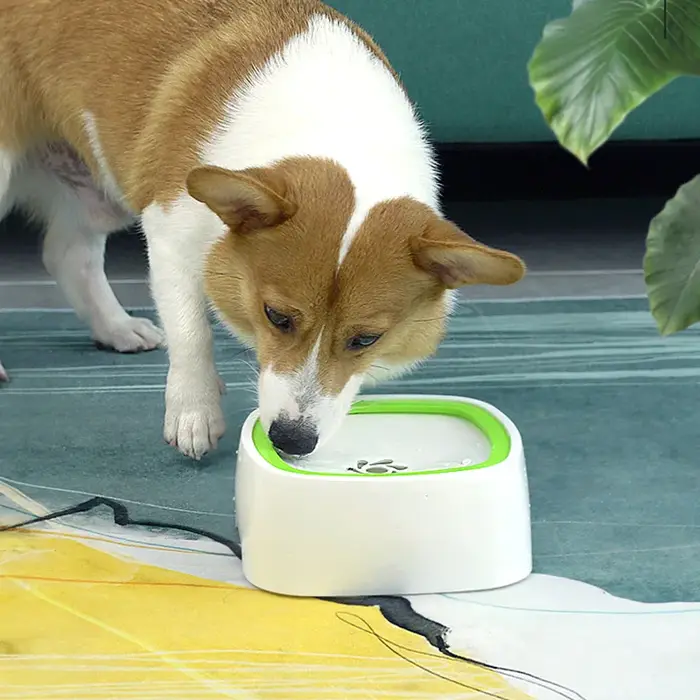 Fontaine d'eau flottante anti-débordement pour chiens et chats design robuste pour maison bureau randonnées et sorties