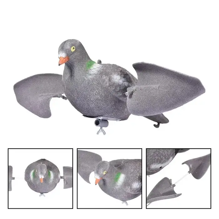 Colombes de chasse ventilées