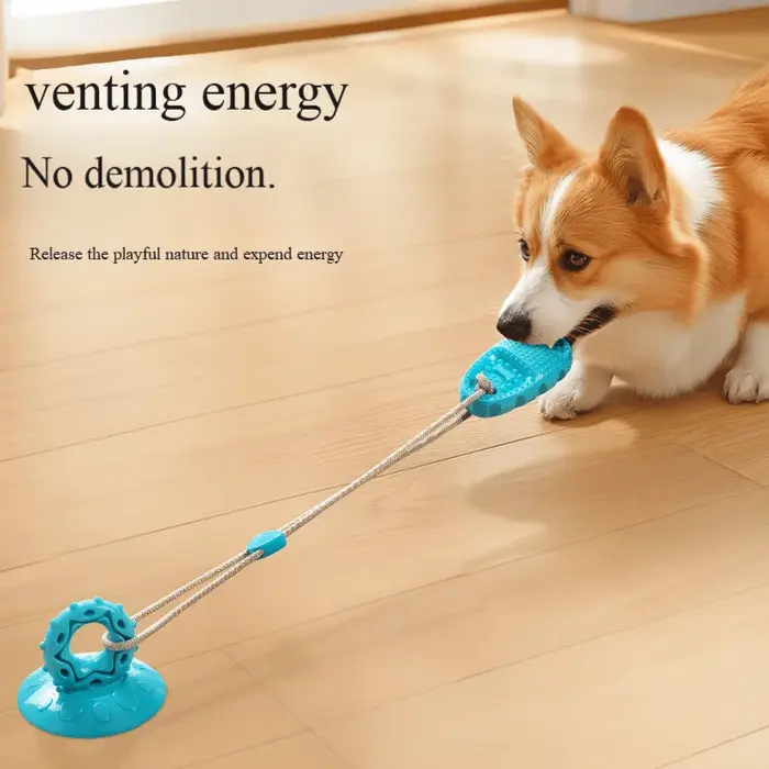 Pantoufles à ventouse pour chien