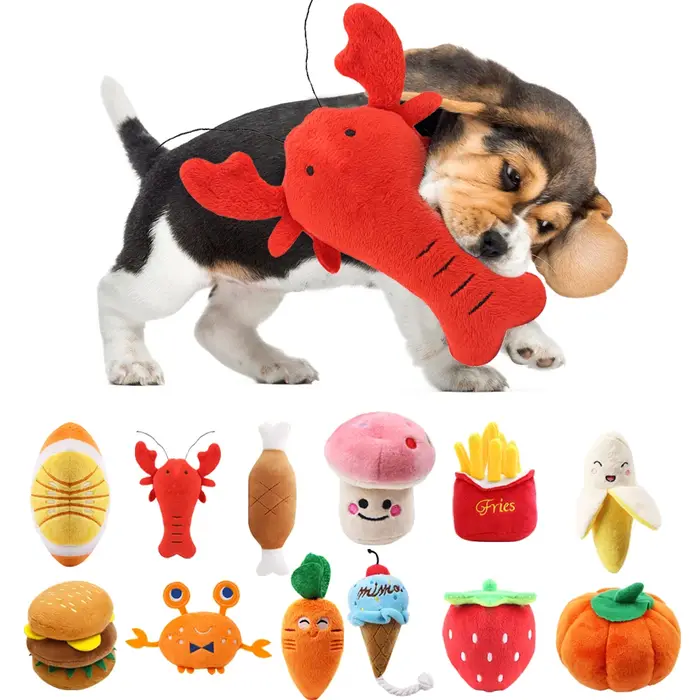 Jouet en peluche à mâcher pour animaux de compagnie