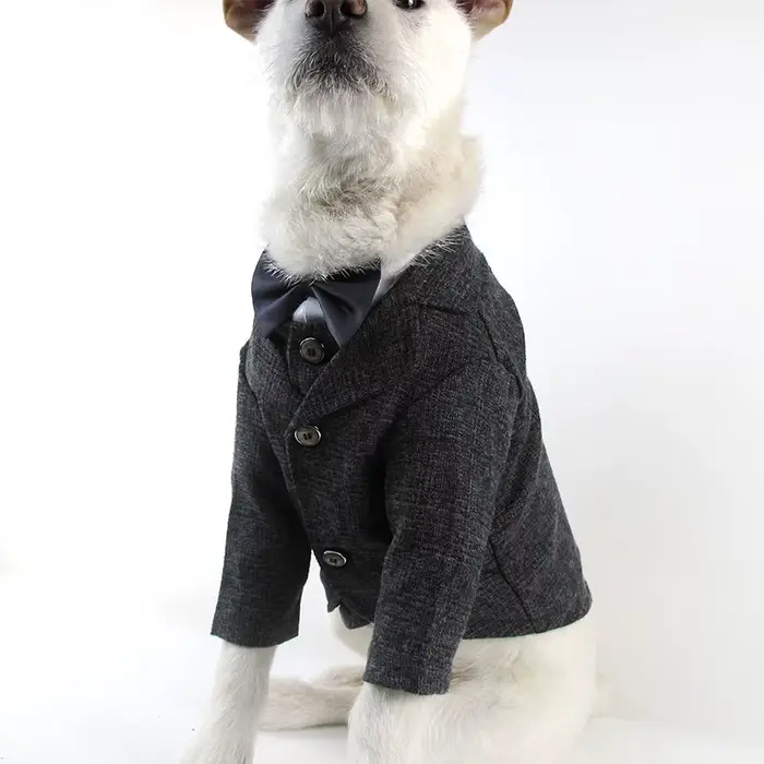 Manteau pour chien taureau français