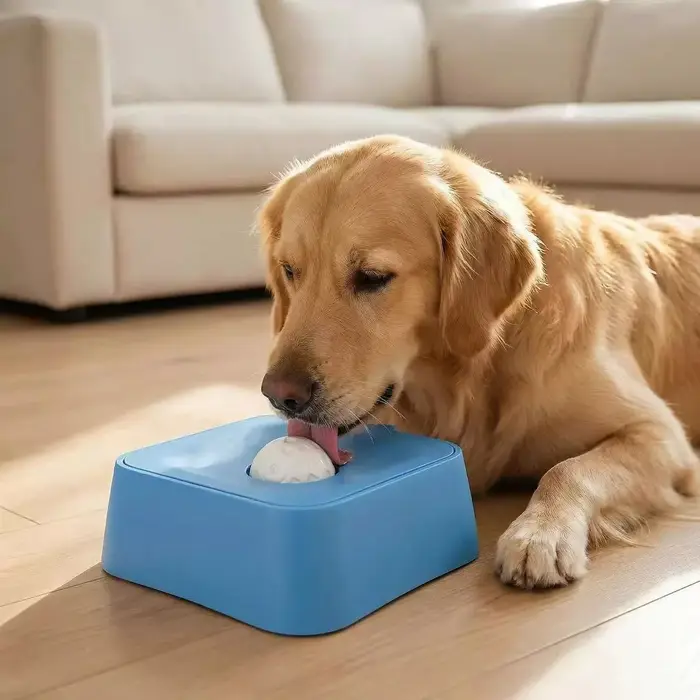 Bol à lécher liquide pour chien - Bol anti-bulimie à alimentation lente pour chat