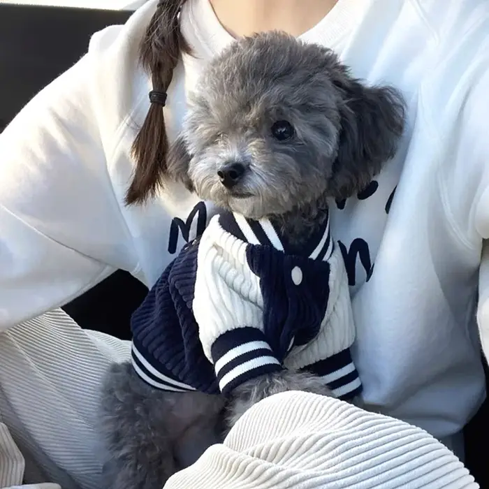 Vestes de Baseball brodées pour animaux de compagnie, vêtements pour chiens, manteau en peluche pour