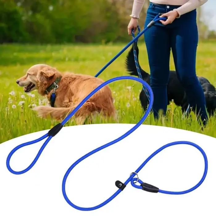 Laisse en nylon robuste et résistante pour chiens de toutes tailles et âges balade canine sécurité confort durable