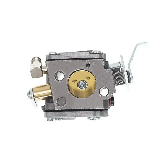 Carburateur pour Wacker BS500 BS600 BS650 BS700 WM80 BS50-2 BS60-2