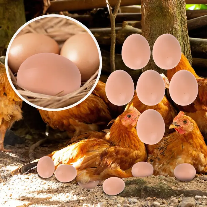5/10 pièces oeuf à couver poule de pâques volaille trappe élevage Simulation faux oeufs artificiels en plastique