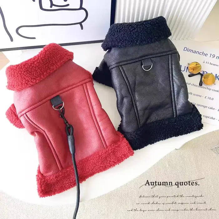 Vêtements à col en fourrure pour bouledogue français