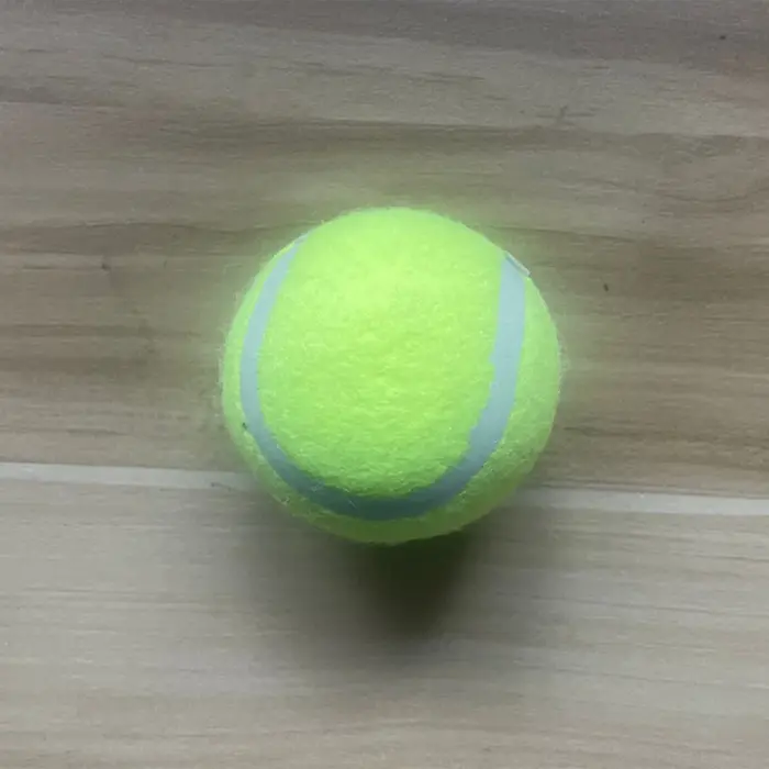 Ensemble de lanceurs de balles de Tennis pour animaux de compagnie, jouet d'entraînement en plein ai