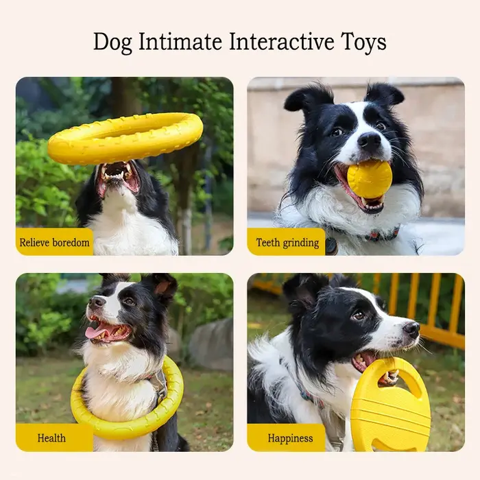 Jouets durables EVA pour chiens