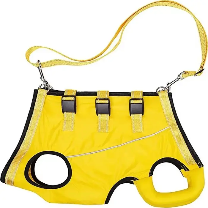 Support de jambes pour chien, attelle arrière réglable de différentes tailles, porte-élingue pour ch