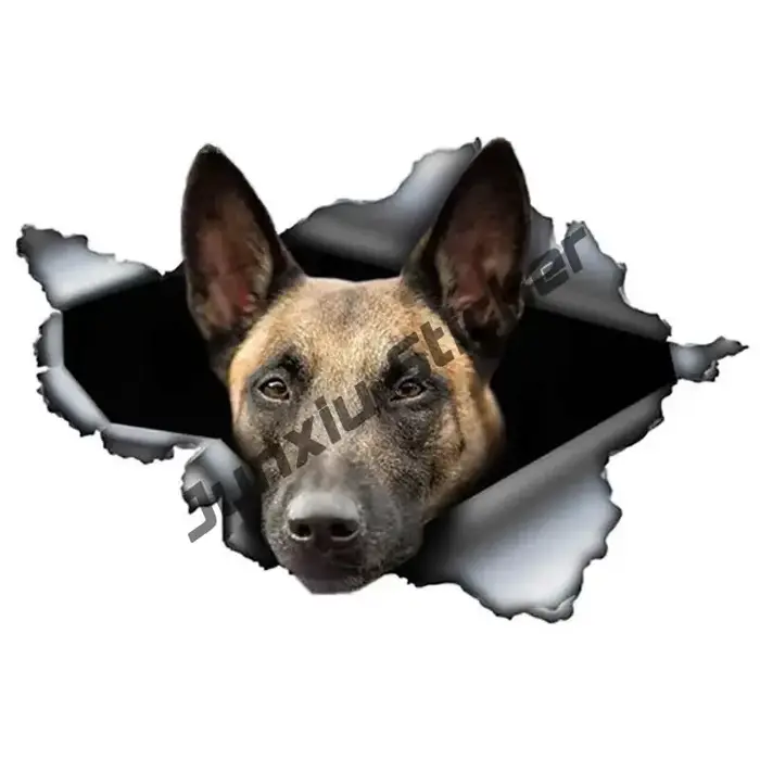 Autocollant en vinyle transparent I Love My Belge Malinois, autocollant pour Windows, portefeuille d