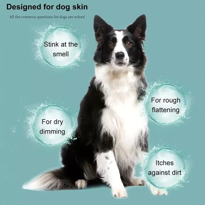 Shampoing pour animaux de compagnie pour chiens