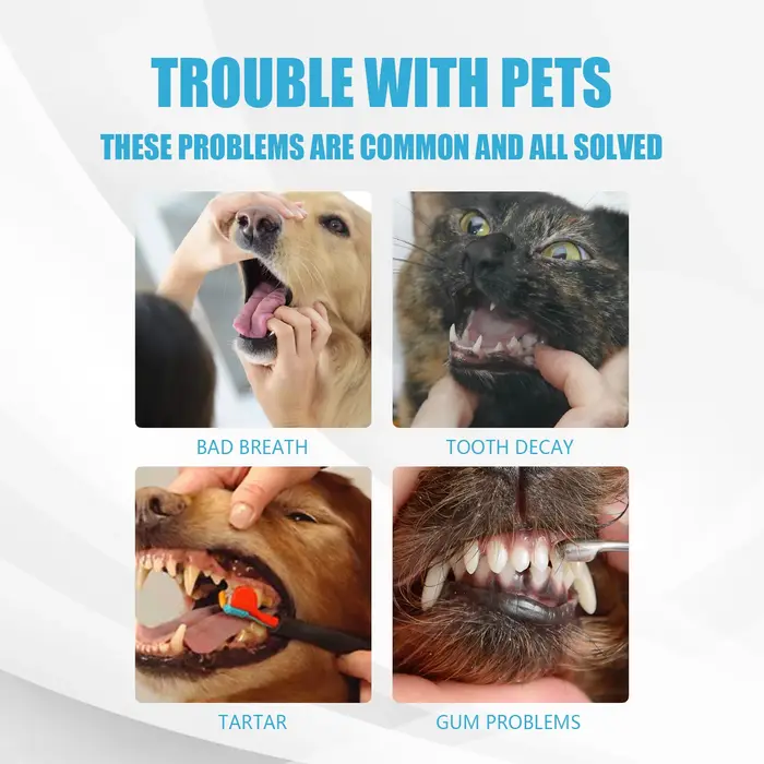 Dentifrice pour animaux de compagnie