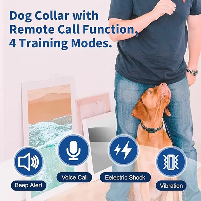 Collier de dressage pour chien