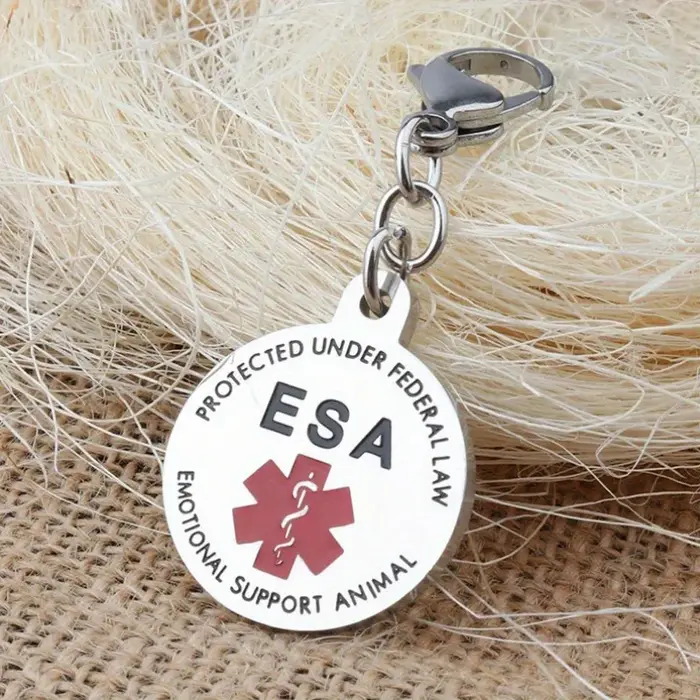 Service chien Logo médical serpent personnel porte-clés en acier inoxydable pour femmes hommes en ac