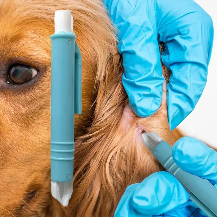 Kit de 4 pinces à tiques pour chiens