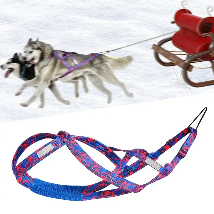 Harnais Réfléchissant Réglable pour Traîneau, Sangle en Nylon Durable pour Chien de Taille Moyenne à