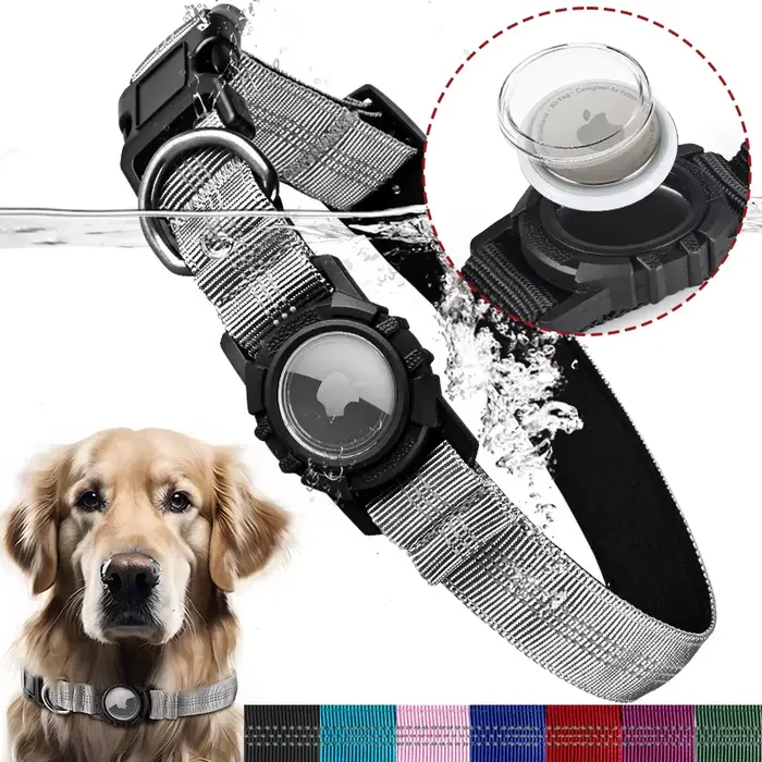 Collier pour chien Airtag avec étui AirTag étanche