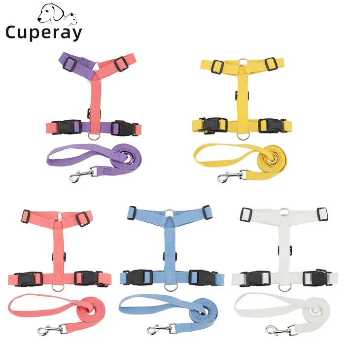 Step-in-Ensemble SFP et laisse pour chien, sans côtes, licou réglable pour animal de compagnie, marche facile, course à pied, entraînement pour petits chiens et chats