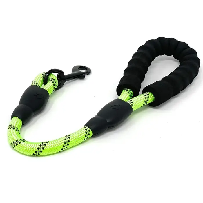 Laisse d'Entraînement Courte pour Chien, 1 Pièce, Souple, Durable, pour le Bain