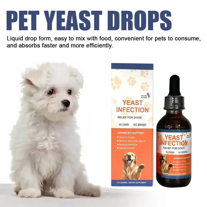 Gouttes pour chiens à base de plantes pour la santé intestinale et le bien-être général des animaux de compagnie compatibles avec les chiens chats et autres petits animaux