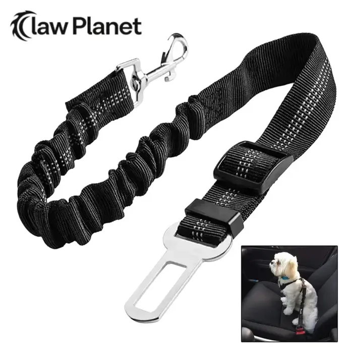 Ceinture de sécurité pour chien avec amortisseur et ligne réfléchissante