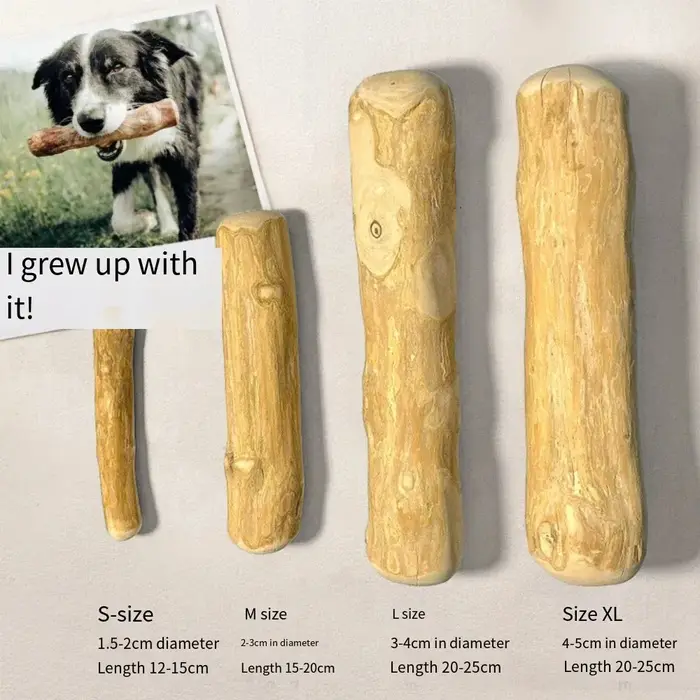 Jouets à mâcher en bois de café naturel pour chien, bâton à croquer longue durée, fournitures pour c