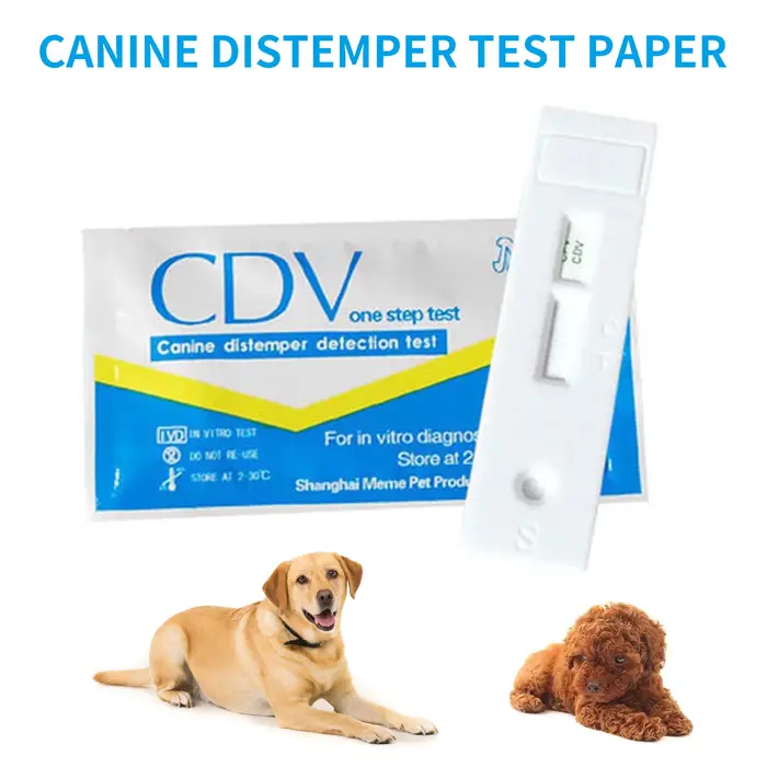Papier de test de distemper canin pour chiens et chats