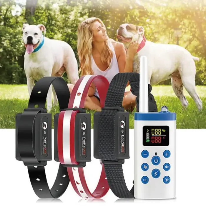 Dispositif Anti-aboiement pour chien de compagnie