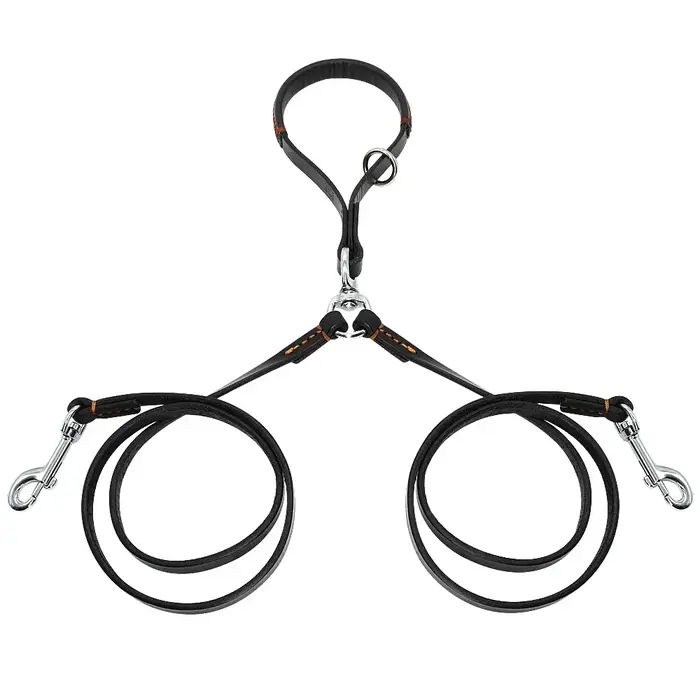 Laisse Double pour chien en cuir véritable, laisse Double pour chien, pivotante à 360 degrés, laisse