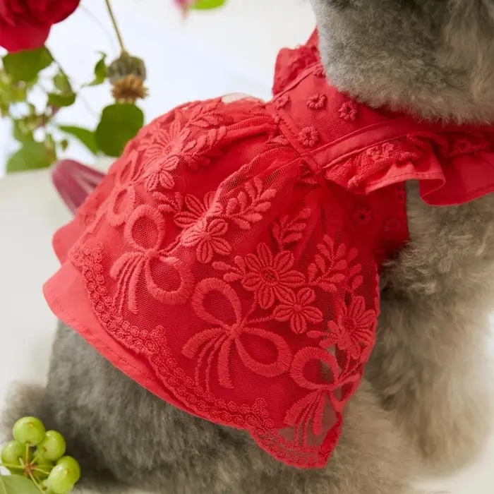 Robe d'été en dentelle pour chiot