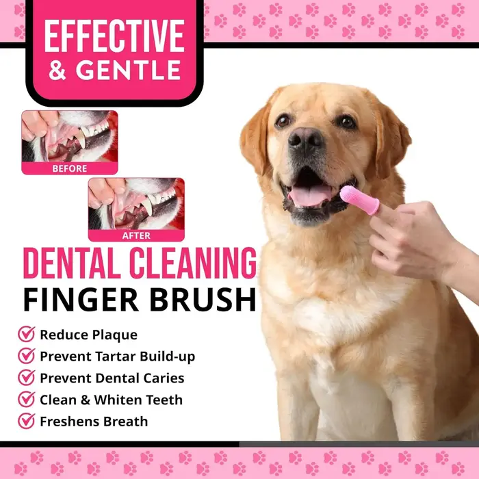 Brosse à dents pour chien