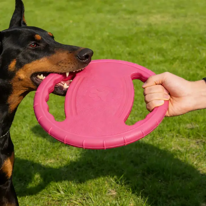 Jouet de dressage et de jeu pour chiens en EVA