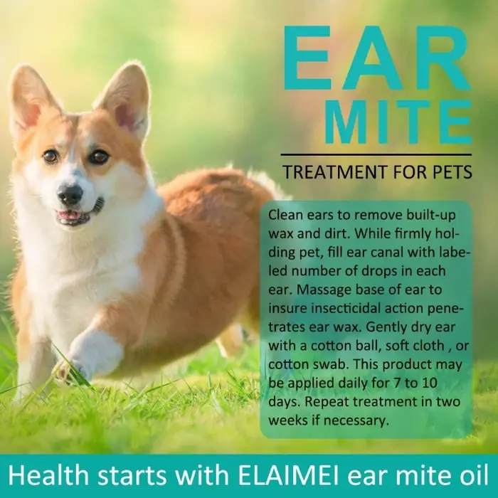 Traitement des acariens d'oreille chat pour chiens chats