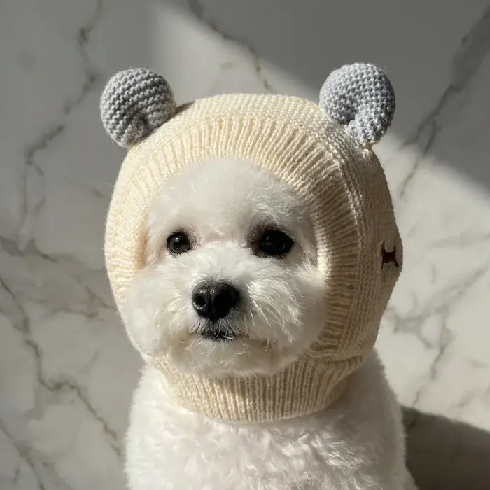 Chapeau d'hiver pour chien, couvre-chef chaud et amusant pour chiens de taille moyenne et grande, Labrador Golden Retriever