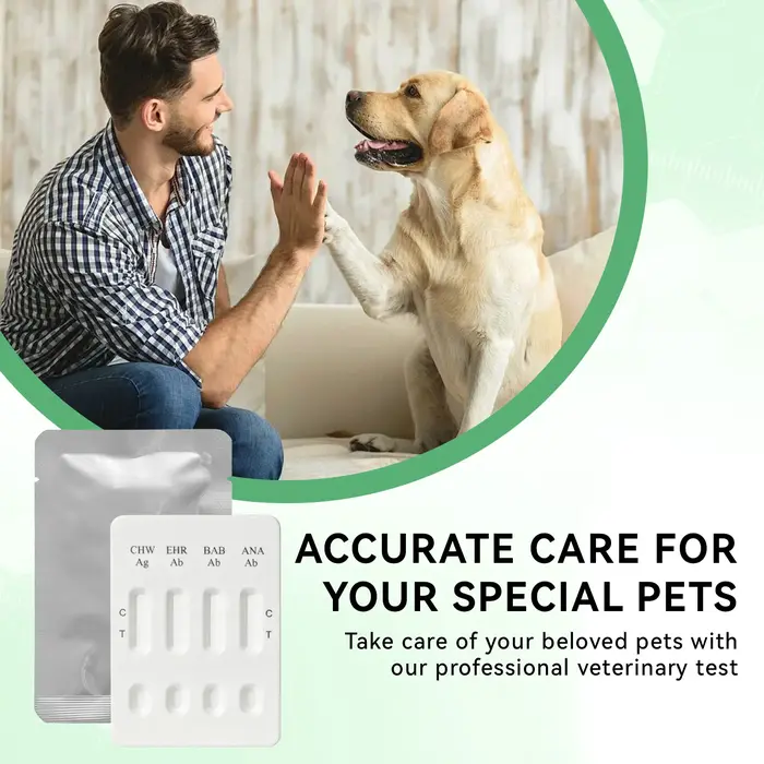 Kit de test rapide pour les anticorps de l'Ehrlichiose canine / les anticorps de l'Anaplasma / les anticorps de la Babesia / l'antigène de la Lymphatrophe (EHR Ab/ANA Ab/BAB Ab/CHW Ag)
