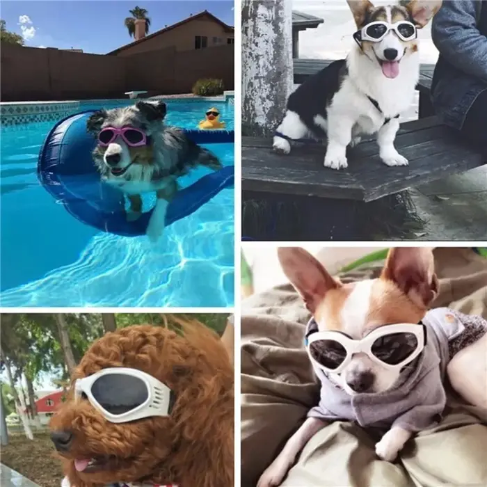 Lunettes de soleil mignonnes pour animaux de compagnie