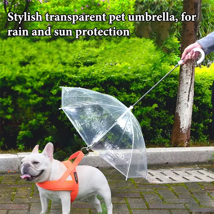 Nouvelle laisse parapluie pour animaux de compagnie
