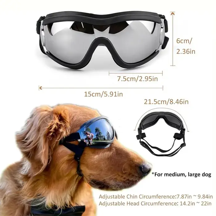Lunettes de protection UV pour chiens