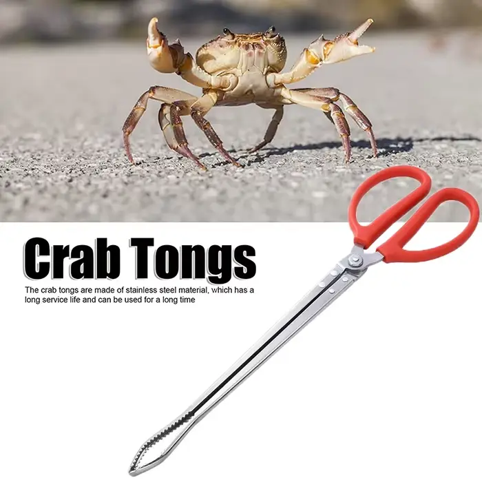 Pince à crabe multifonction en acier inoxydable, outil à main durable, pince à anguilles, longue poi