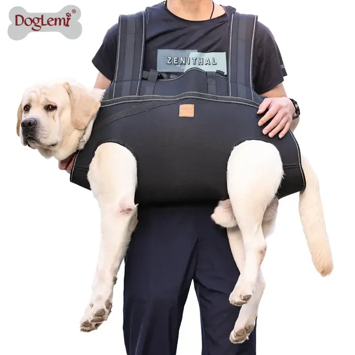 Sac à dos multifonctionnel pour chien