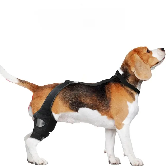 Supports de genouillère pour chien, meilleure récupération ACL des jambes pour chiens, attelles resp