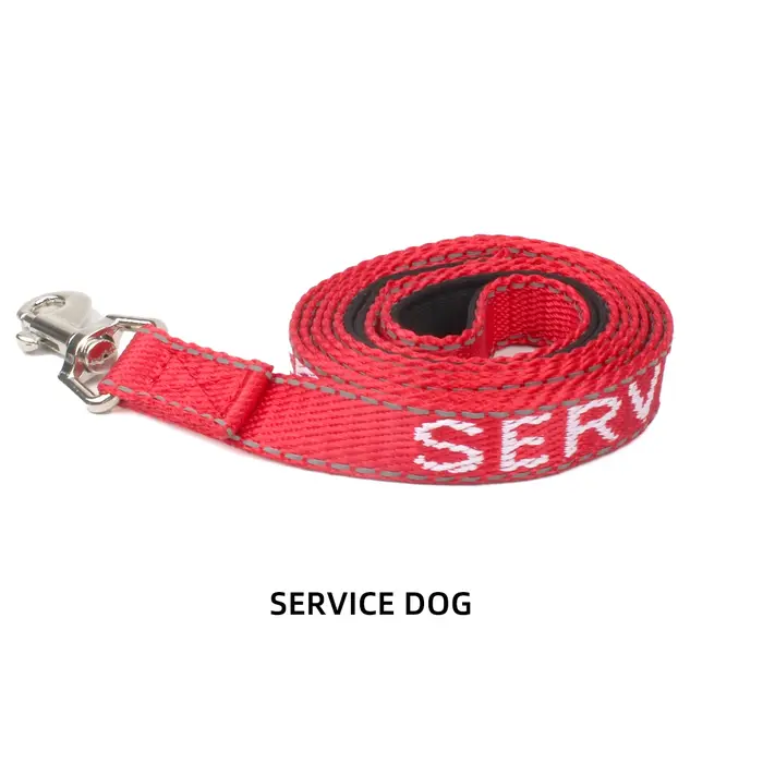Laisse pour chien rouge pour chien de marche en plein air moyen et petit Sport en cours d'exécution 