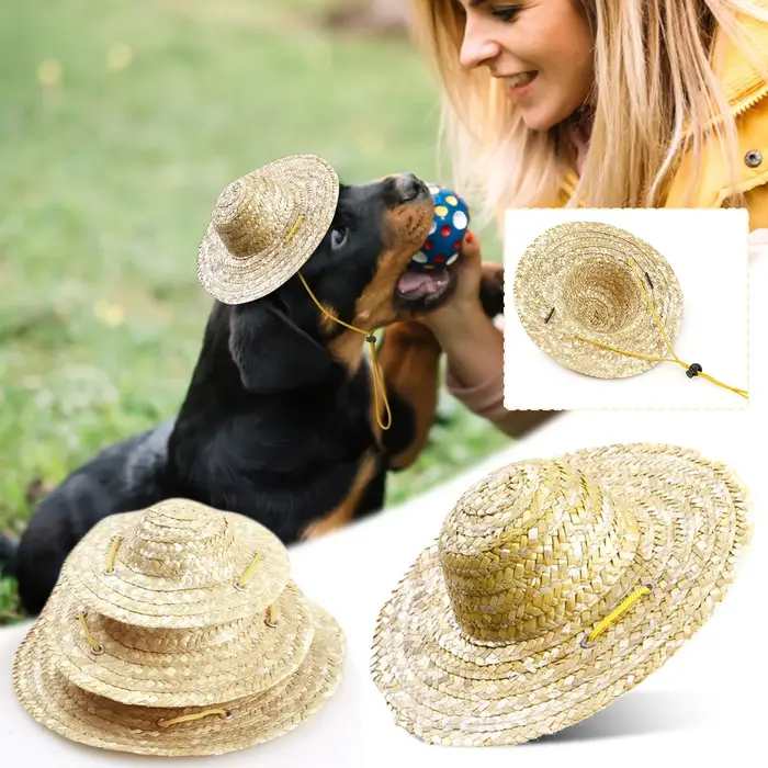 Chapeau de paille rétro pour chien et chat