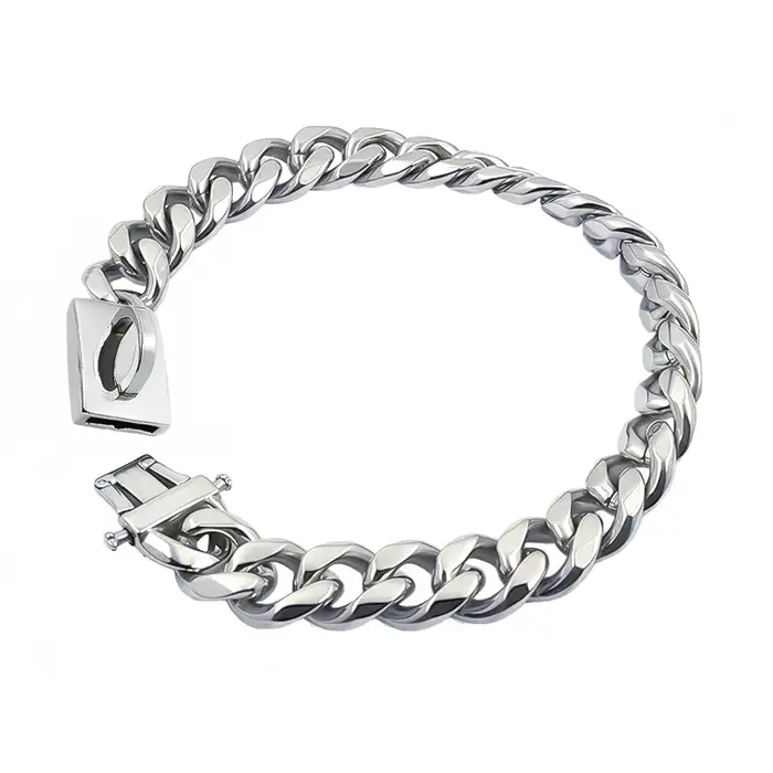 Collier de chien doré en acier inoxydable, ras du cou en métal pour animaux de compagnie, argent, pl