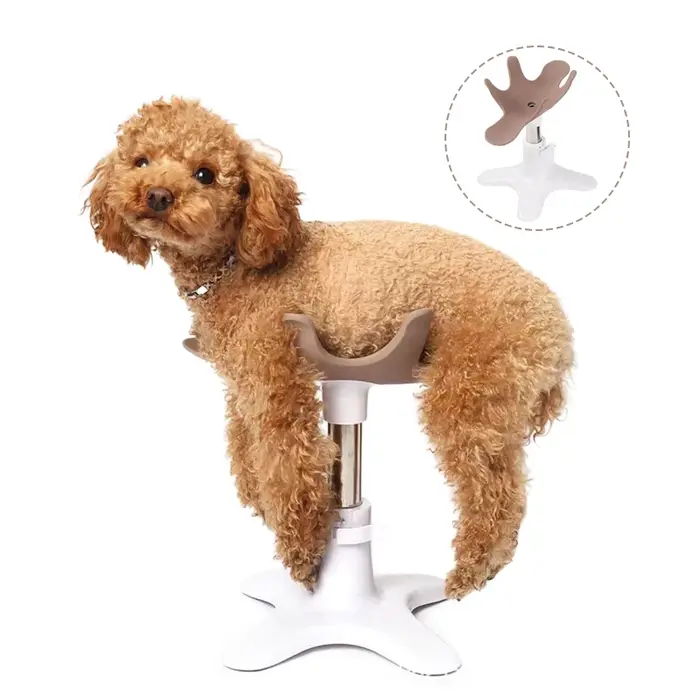 Table de toilettage réglable pour chiens en plastique, cadre amovible, toilettage sûr et confortable pour chiens de toutes tailles occasions spéciales