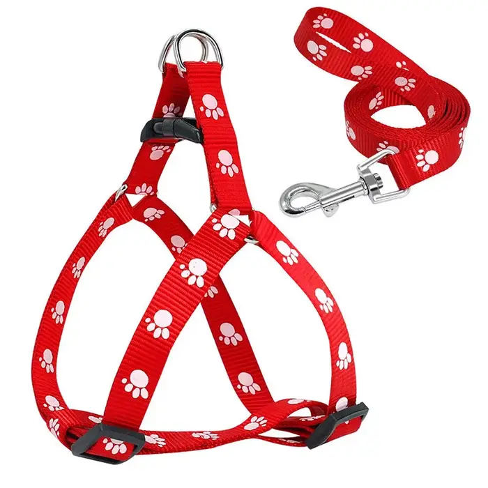Ensemble harnais et laisse triangulaires pour chien, harnais léger, entraînement facile à marcher, laisse en plomb pour chien, voyage en plein air, petit et moyen chien