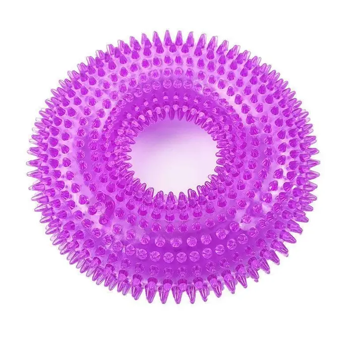 Jouet à mâcher pour chien en forme de pneu à picots, sonore, en TPR durable, pour le nettoyage des d