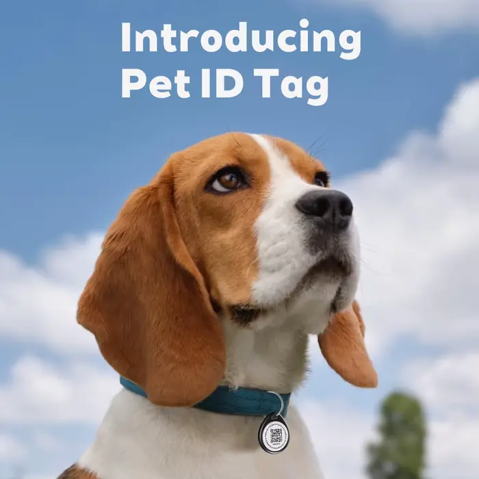 Étiquette d'identification pour animaux de compagnie avec QR code