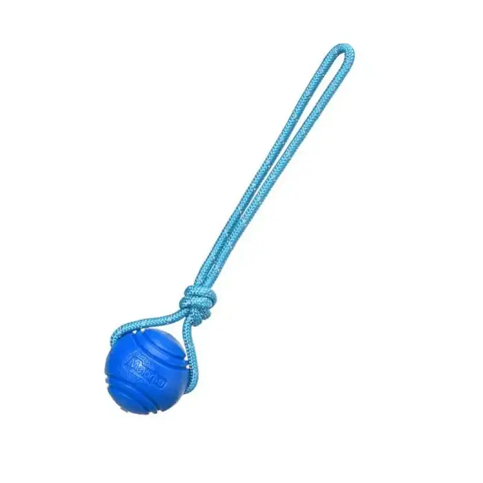 Ballon d'entraînement pour chien sur corde, jouet en corde de coton, non toxique, durable, interacti